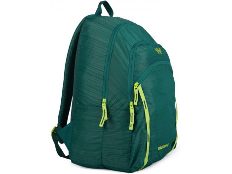 Wildcraft Flare 02 Green 35 Ltrs Backpack 