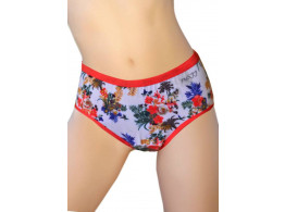 Pusyy Women's Hipster Multicolor Panty  (Pack of 1)