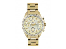 Fossil ES2683I Women Gold Toned Dial Watch